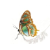 Inventive Design, Llc