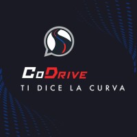 CoDrive S.r.l. logo - Similar company to Tapams Group