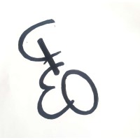 Fouress Overseas logo - Similar company to Murtuza Export