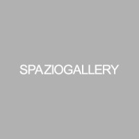 SPAZIOGALLERY logo - Similar company to Savitar Consulting