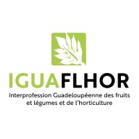 Iguaflhor - Association Interprofessionnelle guadeloupéenne des fruits, légumes et horticulture logo - Similar company to Cacima Spm