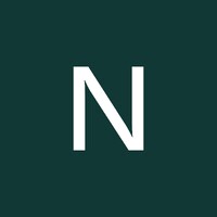 Netcompany logo - Similar company to Vietlink