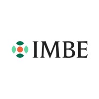 IMBE logo - Similar company to Pan African Information Communication Technology Association