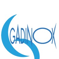 GADINOX SRL logo - Similar company to V+ Carpenteria Meccanica