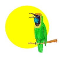 Leafbird Consulting logo - Similar company to Birdleaf