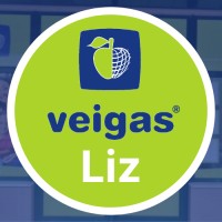 VEIGAS LIZ logo - Similar company to Ave Design
