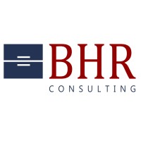 BHR Consulting Iasi logo - Similar company to Optimizd Ai