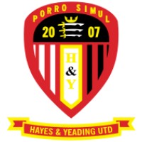 Hayes & Yeading United FC logo - Similar company to Skyex