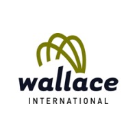 Wallace International Pty Ltd logo - Similar company to Mt Datatech