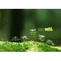 Ekopi Çevre Mühendislik Danışmanlık logo - Similar company to Element Çevre Danışmanlık Ve Mühendislik A.Ş.