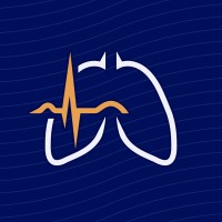 Vittalis logo - Similar company to Vitallis Gestão Médica