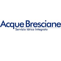 Acque Bresciane S.r.l. SB logo - Similar company to Gruppo Tea