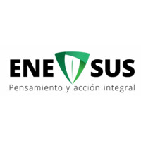 EneSus logo - Similar company to Fairtech