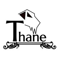 Thane Tech logo - Similar company to Webdev Company - We Design & Code