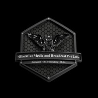 BLACKCAT MEDIA AND BROADCAST PVT LTD logo - Similar company to Blink Studios, India