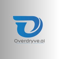 Overdryve Solutions, Inc. logo - Similar company to Data Vault Insights Llp