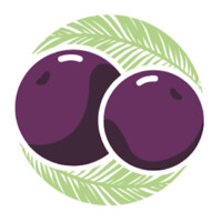 Deep Purpl - Acai Bowls logo - Similar company to Sof - Serviço De Orientação Financeira