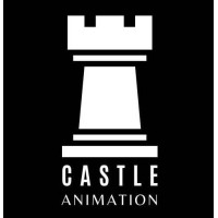 Castle Animation logo - Similar company to Jb Analytics