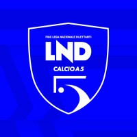 Divisione Calcio a 5 logo - Similar company to Puglia5