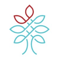 Krypton IP logo - Similar company to Chukkytech