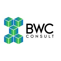 BWC Consult LTD logo - Similar company to My Kayi App