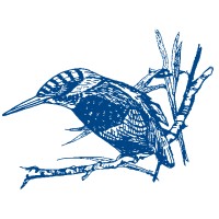 KINGFISHER DEVELOPMENTS (WALES) LIMITED logo - Similar company to Celtic Offsite