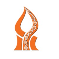 Nibn | The National Institute For Biotechnology In The Negev