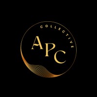 artist prodigy collective logo - Similar company to Baron Vr