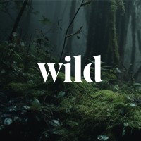 Wild logo - Similar company to Heart Media