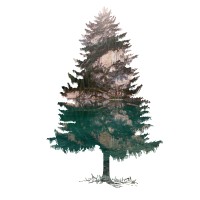 Evergreen Films logo - Similar company to Pixeo Studios