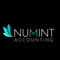 NuMint Bookkeeping & Accounting Services LLC logo - Similar company to Buffie, Llc