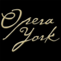 Opera York logo - Similar company to Future 5Th