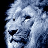 Hagemann Systems GmbH logo - Similar company to Dynamic Results Llc