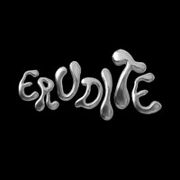 Erudite logo - Similar company to Outbounder