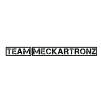 TEAM MECKARTRONZ logo - Similar company to Naimi Wisdom