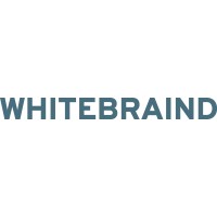 Whitebraind logo - Similar company to Studio Bojola