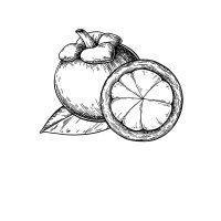 Mangosteen Solutions logo - Similar company to Mangosteen Tea™