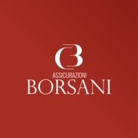 Borsani Assicurazioni | Agenzia di Consulenza e Brokeraggio Assicurativo logo - Similar company to Mediorischi Srl