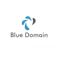 BlueDomain.online logo - Similar company to Am Design Services W.L.L