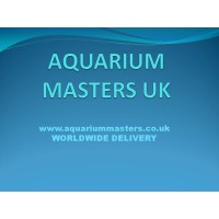 Aquarium Masters (UK) logo - Similar company to Aquarium Experts Limited