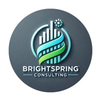 BrightSpring Consulting LTD logo - Similar company to Netgen Solutions