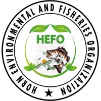 HEFO logo - Similar company to Operation One