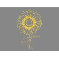 Sunflower Financial Planning Ltd logo - Similar company to Deep Dive Financial Planning