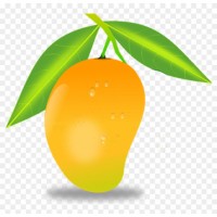 Mangoes Export Import Limited BD logo - Similar company to Mangoes