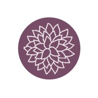 SA Birth Photographers Association logo - Similar company to She Births® Childbirth Education