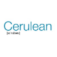 Cerulean Management Solutions Limited