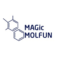 MAGic-MOLFUN logo - Similar company to Danish Clinical Bioinformatics Group (Dcbig)
