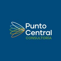 Punto Central Consultoría logo - Similar company to Hrtools Safety