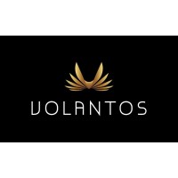 Volantos logo - Similar company to Volanto