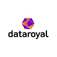 Data Royal logo - Similar company to Valinke.Com